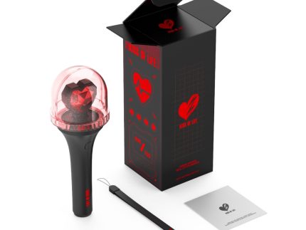KISS OF LIFE OFFICIAL LIGHT STICK