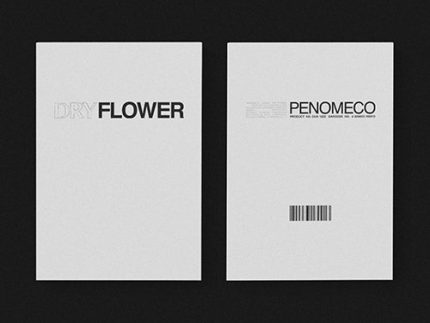 PENOMECO EP ALBUM - DRY FLOWER