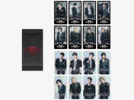 STRAY KIDS WORLD TOUR [DOMINATE SEOUL] OFFICIAL MD - 02. SPECIAL TRADING CARD