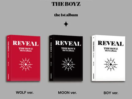 THE BOYZ 1ST ALBUM - REVEAL (PLATFORM VER.)